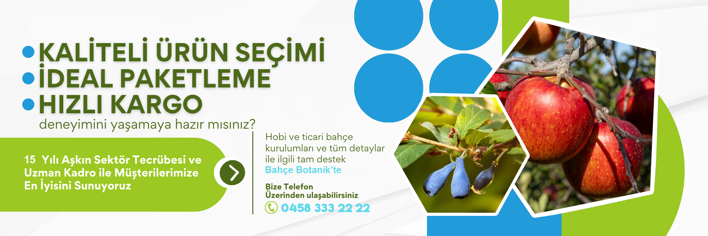 Bayburt Botanik - 1