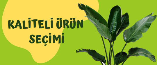 Bayburt Botanik Resim - 1