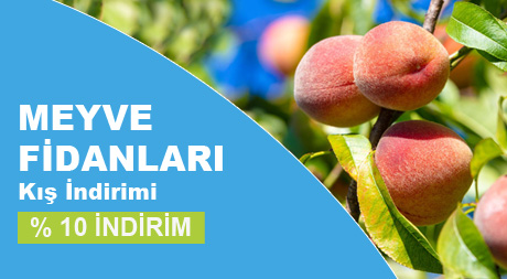 Bayburt Botanik Resim - 2
