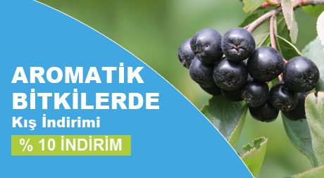 Bayburt Botanik Resim - 1