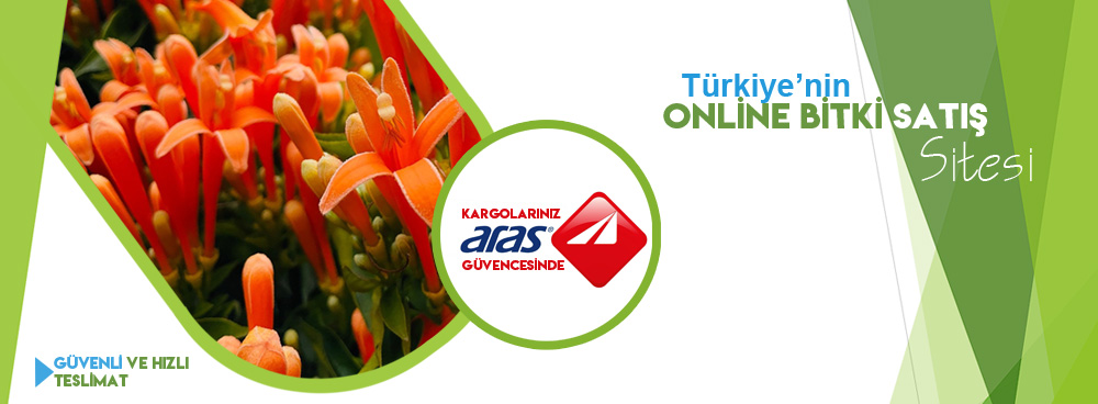 Bayburt Botanik - 4