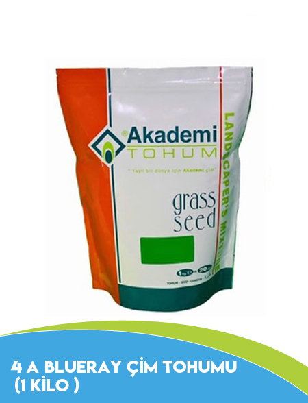 4 A BLUERAY ÇİM TOHUMU (1 KİLO ) 4 A BLUERAY ÇİM TOHUMU (1 KİLO )