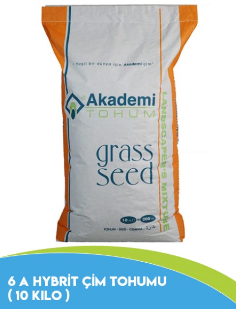 6 A HYBRİT ÇİM TOHUMU ( 10 Kilo )